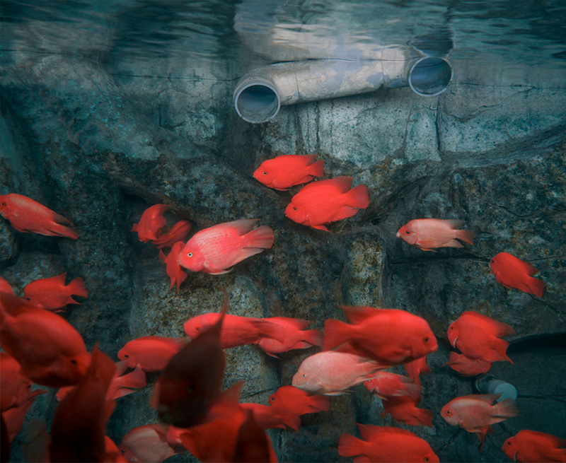 © Zed Nelson, Sony World Photography Awards 2025