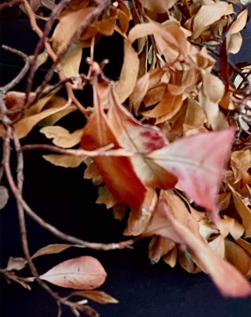 Why the Hell Not, Fotografien von John Schuetz Der amerikanische Künstler John Schuetz widmet sich in den Serien dieser Ausstellung dem klassischen Genre des Stilllebens